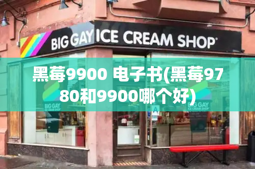 黑莓9900 电子书(黑莓9780和9900哪个好)-第1张图片-星选测评