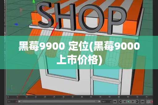 黑莓9900 定位(黑莓9000上市价格)