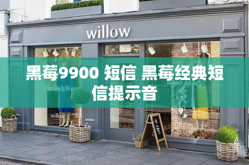 黑莓9900 短信 黑莓经典短信提示音