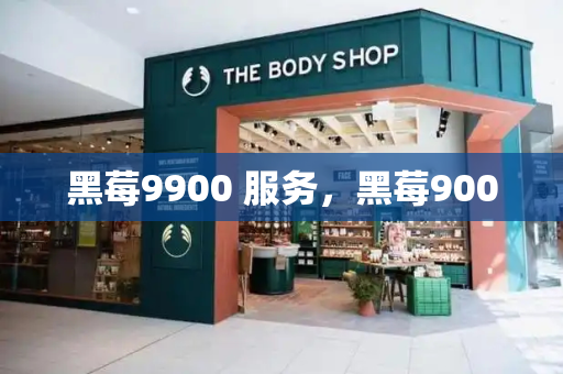 黑莓9900 服务，黑莓9000
