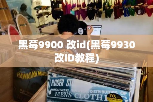 黑莓9900 改id(黑莓9930改ID教程)