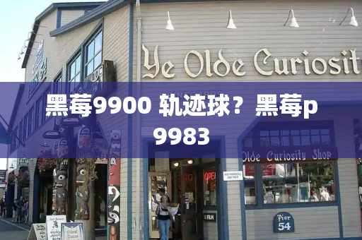 黑莓9900 轨迹球？黑莓p9983