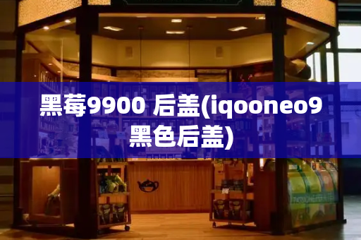 黑莓9900 后盖(iqooneo9黑色后盖)-第1张图片-星选测评