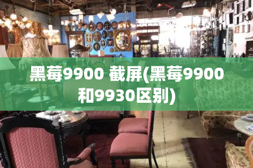 黑莓9900 截屏(黑莓9900和9930区别)-第1张图片-星选测评