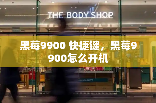 黑莓9900 快捷键，黑莓9900怎么开机