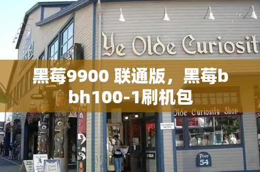 黑莓9900 联通版，黑莓bbh100-1刷机包-第1张图片-星选测评