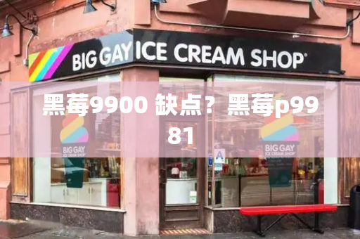 黑莓9900 缺点？黑莓p9981