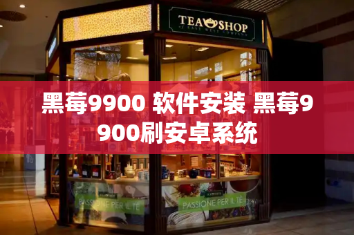 黑莓9900 软件安装 黑莓9900刷安卓系统-第1张图片-星选测评