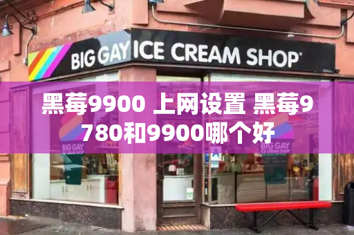 黑莓9900 上网设置 黑莓9780和9900哪个好-第1张图片-星选测评