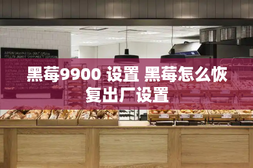 黑莓9900 设置 黑莓怎么恢复出厂设置-第1张图片-星选测评