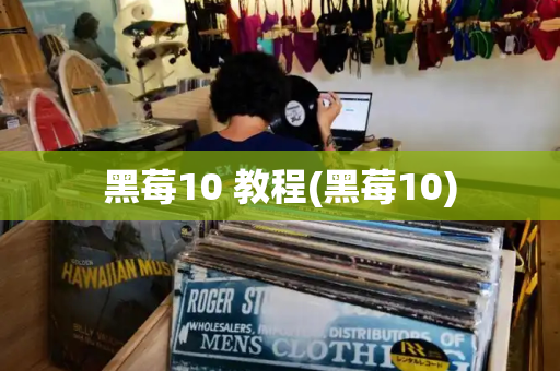 黑莓10 教程(黑莓10)-第1张图片-星选测评