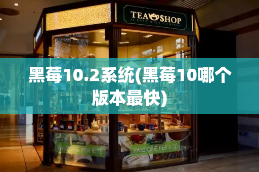 黑莓10.2系统(黑莓10哪个版本最快)