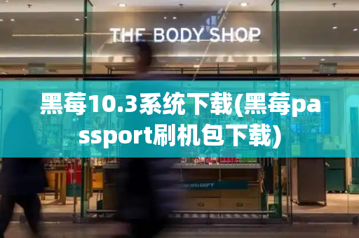 黑莓10.3系统下载(黑莓passport刷机包下载)-第1张图片-星选测评