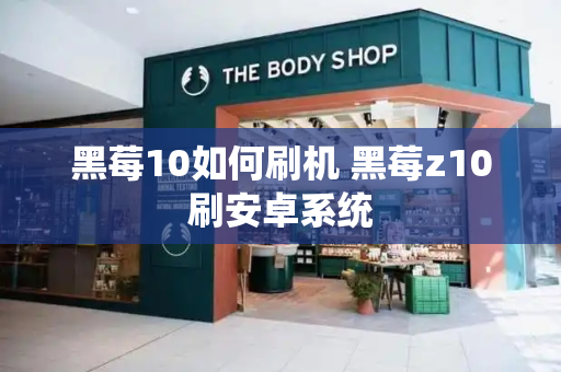 黑莓10如何刷机 黑莓z10刷安卓系统-第1张图片-星选测评