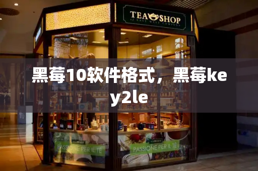 黑莓10软件格式，黑莓key2le-第1张图片-星选测评