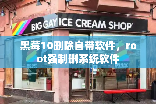 黑莓10删除自带软件，root强制删系统软件