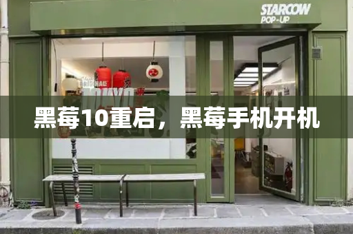 黑莓10重启，黑莓手机开机-第1张图片-星选测评