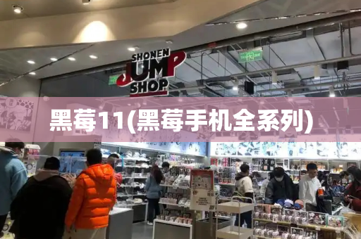 黑莓11(黑莓手机全系列)