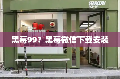 黑莓99？黑莓微信下载安装-第1张图片-星选测评
