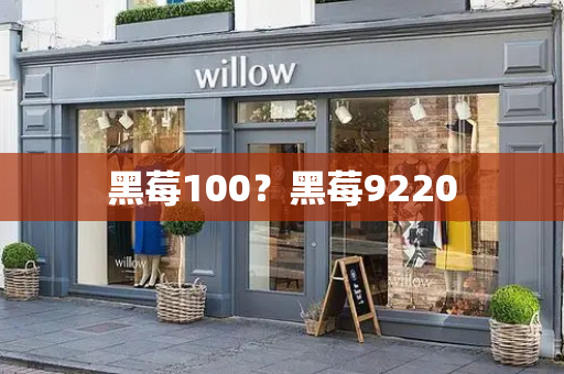 黑莓100？黑莓9220-第1张图片-星选测评