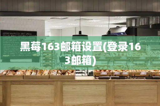 黑莓163邮箱设置(登录163邮箱)