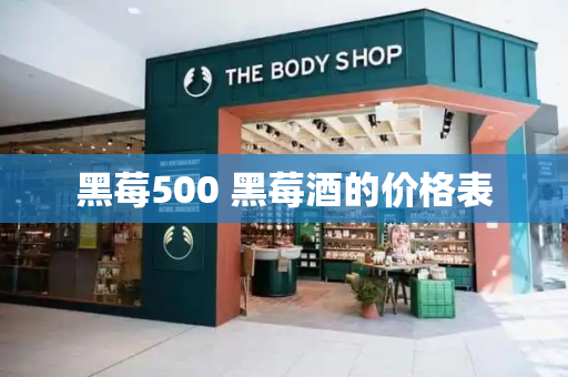 黑莓500 黑莓酒的价格表-第1张图片-星选测评