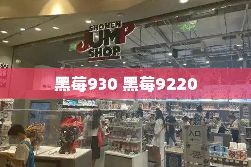 黑莓930 黑莓9220-第1张图片-星选测评
