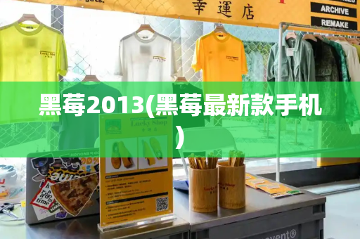 黑莓2013(黑莓最新款手机)