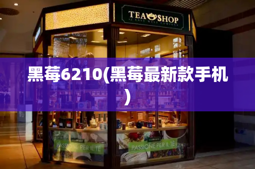 黑莓6210(黑莓最新款手机)