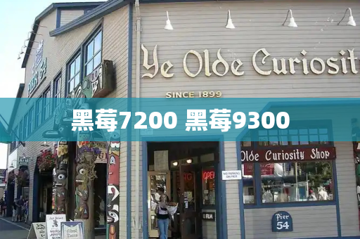 黑莓7200 黑莓9300-第1张图片-星选测评