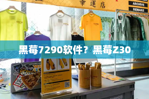 黑莓7290软件？黑莓Z30