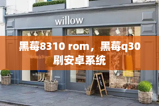 黑莓8310 rom，黑莓q30刷安卓系统-第1张图片-星选测评