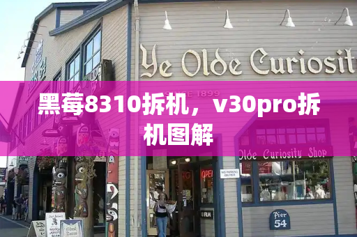 黑莓8310拆机，v30pro拆机图解-第1张图片-星选测评