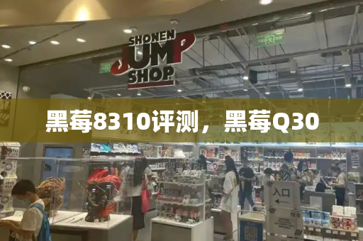 黑莓8310评测，黑莓Q30