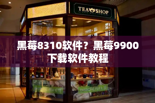 黑莓8310软件？黑莓9900下载软件教程