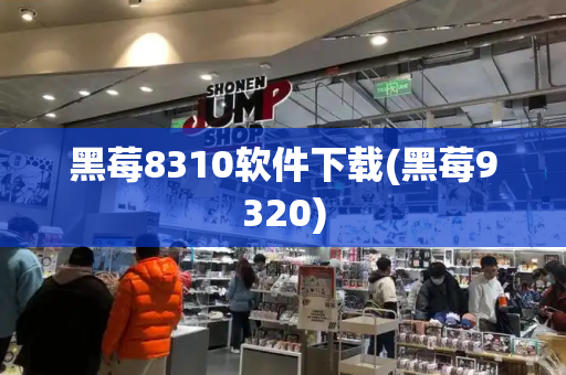 黑莓8310软件下载(黑莓9320)