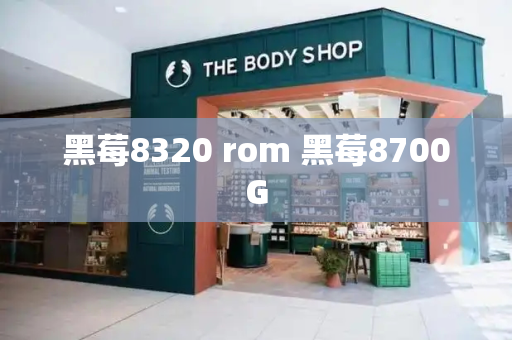 黑莓8320 rom 黑莓8700G-第1张图片-星选测评