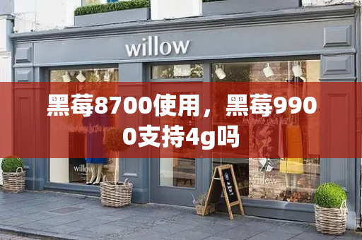 黑莓8700使用，黑莓9900支持4g吗-第1张图片-星选测评