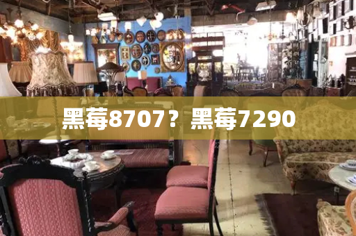 黑莓8707？黑莓7290-第1张图片-星选测评