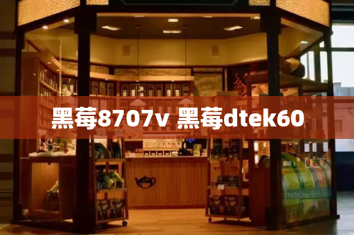 黑莓8707v 黑莓dtek60