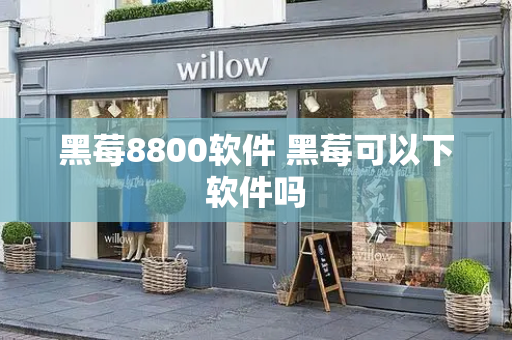 黑莓8800软件 黑莓可以下软件吗