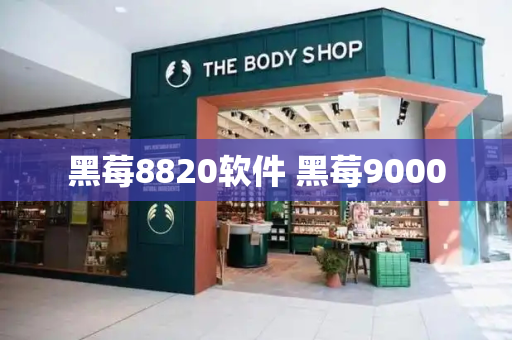 黑莓8820软件 黑莓9000