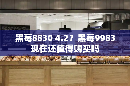 黑莓8830 4.2？黑莓9983现在还值得购买吗-第1张图片-星选测评