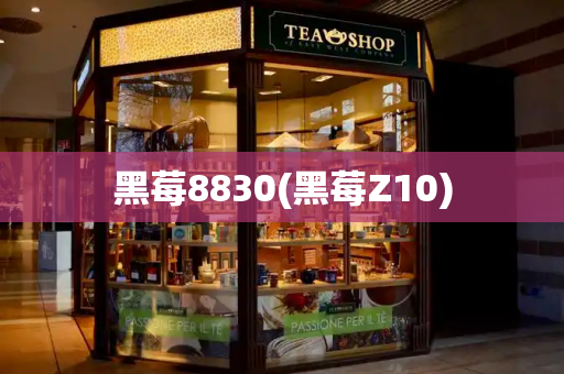 黑莓8830(黑莓Z10)-第1张图片-星选测评