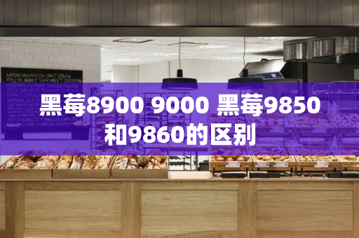 黑莓8900 9000 黑莓9850和9860的区别-第1张图片-星选测评