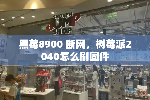 黑莓8900 断网，树莓派2040怎么刷固件