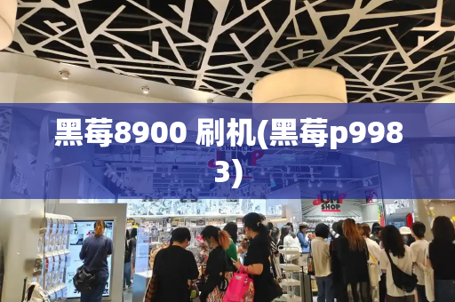 黑莓8900 刷机(黑莓p9983)