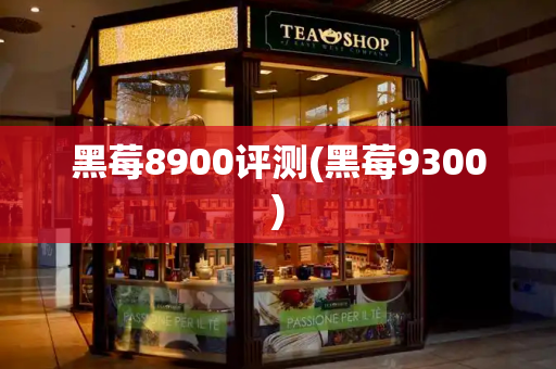 黑莓8900评测(黑莓9300)