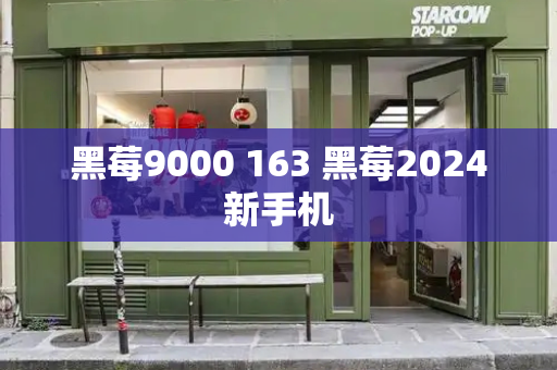 黑莓9000 163 黑莓2024新手机