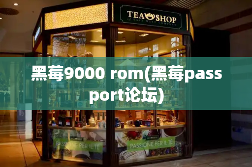 黑莓9000 rom(黑莓passport论坛)